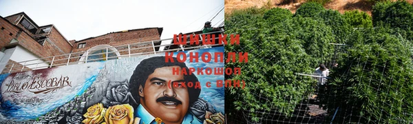 прущие крисы Козельск