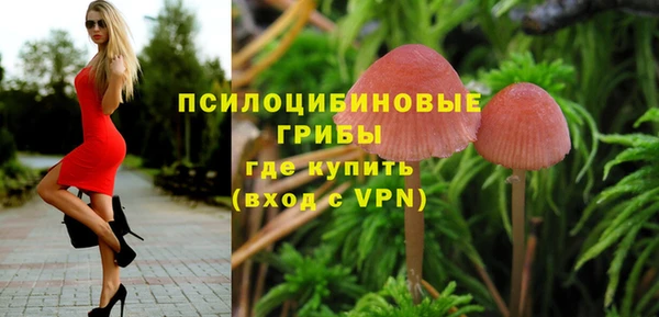 прущие крисы Козельск
