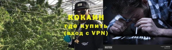 spice Кодинск