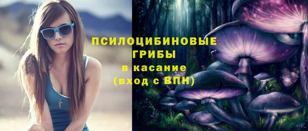 прущие крисы Козельск