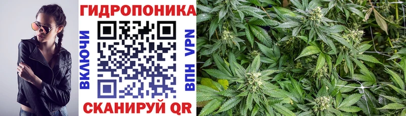 Бошки марихуана Amnesia  Купить где  Балабаново 